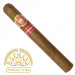 Charuto H. Upmann Magnum 50 Fernando de Noronha