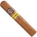 Charuto Montecristo wide edmundo Fernando de Noronha